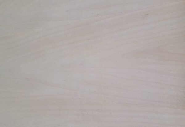 Hard Maple