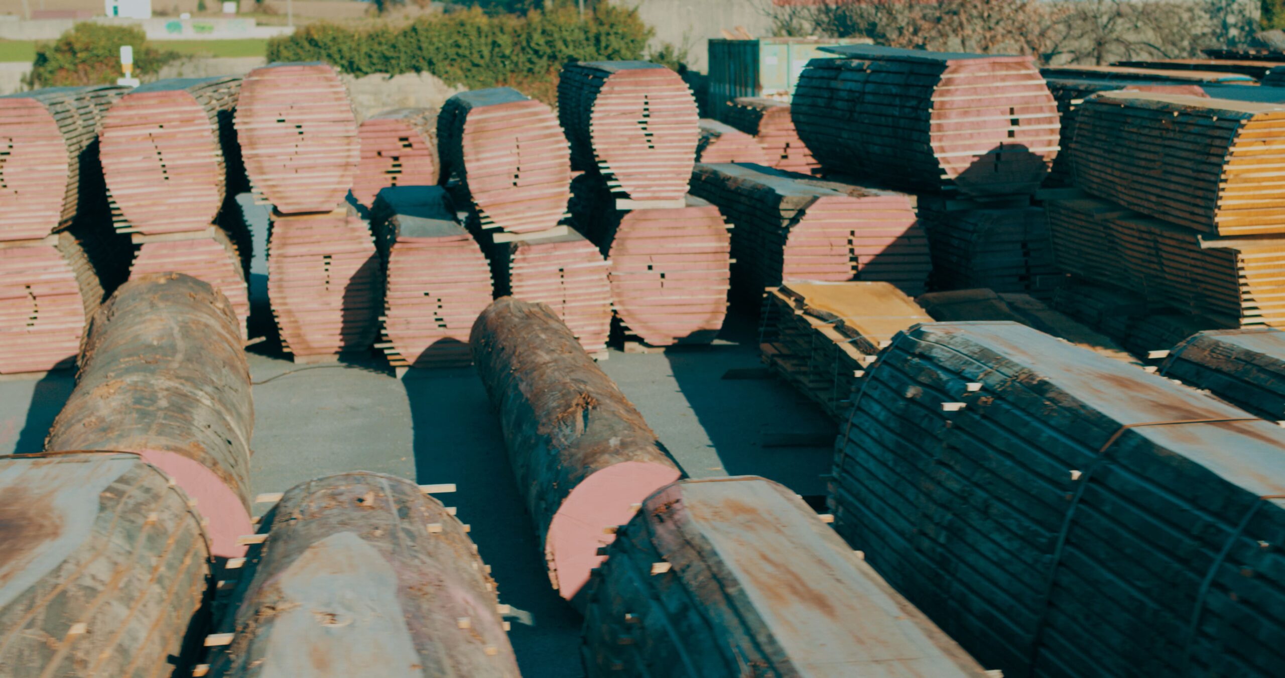 A005_C047_20171218_P00000.mov.00_00_21_04.Still001-scaled