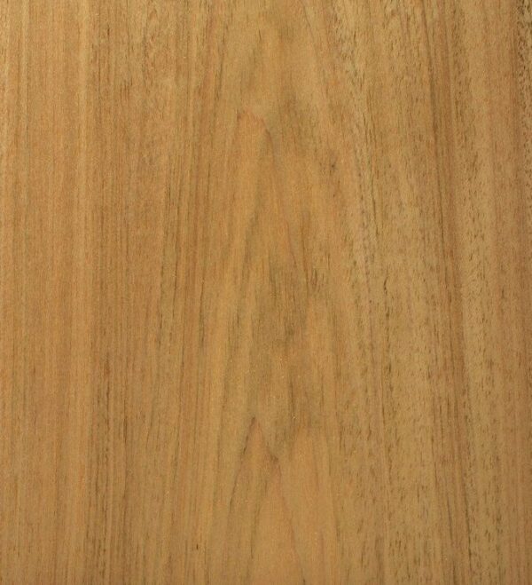 MOUNTAIN OAK